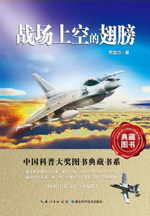 戰(zhàn)場上空的翅膀