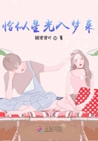 恰似星光入夢來在線閱讀