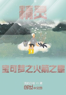 精靈寶可夢之火箭之星