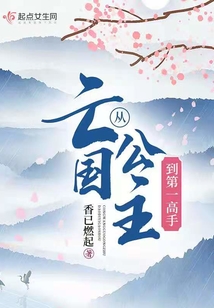 從亡國(guó)公主到第一高手
