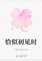 恰似初見時在線閱讀