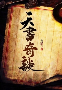 天书奇谈 cover
