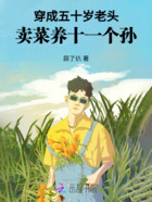 穿成五十岁老头,卖菜养十一个孙在线阅读