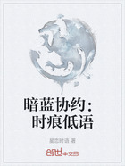 暗蓝协约:时痕低语在线阅读