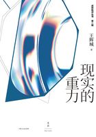 述而批评丛书·第二辑：现实的重力在线阅读