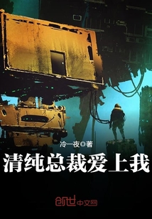 清纯总裁爱上我在线阅读