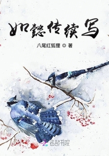 如懿傳續寫