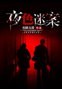 夜色迷案