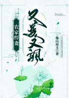 丞相，夫人出去賺錢(qián)了在線閱讀