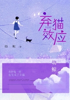 弃猫效应在线阅读