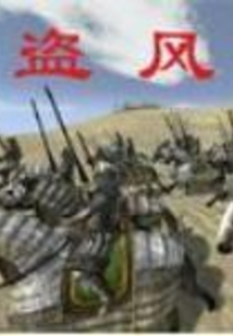盗风 cover