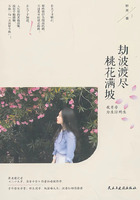 劫波渡尽,桃花满坡在线阅读