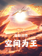 全职法师空间为王