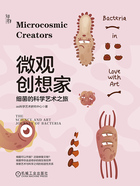 微观创想家:细菌的科学艺术之旅在线阅读