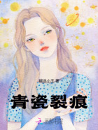 青瓷裂痕在线阅读