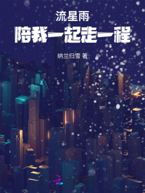 流星雨陪我一起走一程在线阅读