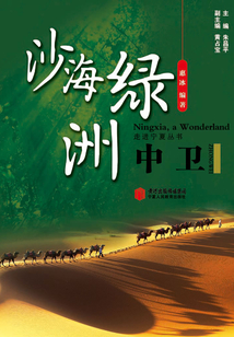 沙海绿洲：中卫