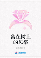 落在樹上的風(fēng)箏在線閱讀