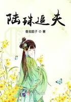 陸珠追夫在線閱讀
