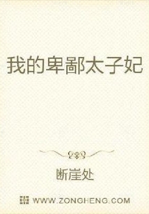 我的卑鄙太子妃