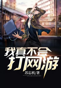 我真不会打网游