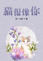 猫很像你在线阅读