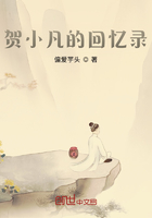 賀小凡的回憶錄在線閱讀