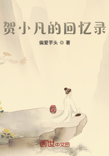 賀小凡的回憶錄
