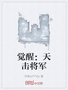 觉醒：天击将军在线阅读