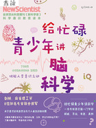 给忙碌青少年讲脑科学:破解人类意识之谜在线阅读