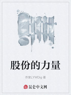 股份的力量在线阅读