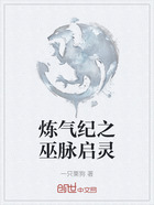 炼气纪之巫脉启灵在线阅读