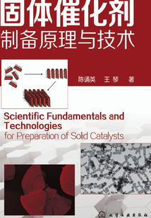 固體催化劑制備原理與技術