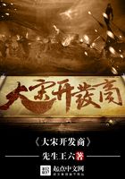 大宋開發商在線閱讀