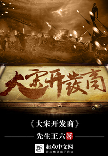 大宋开发商