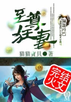 至尊狂妻在线阅读