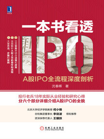 一本書看透IPO：A股IPO全流程深度剖析