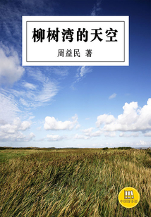 柳樹灣的天空（中國好小說）