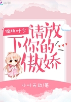 偏執葉少請放下你的小傲嬌在線閱讀