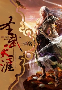 圣武天涯