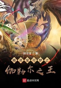 精靈寶可夢之伽勒爾之王