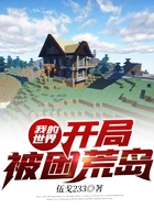 我的世界:开局被困荒岛
