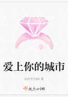 爱上你的城市在线阅读