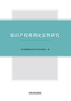 知识产权商用化实务研究