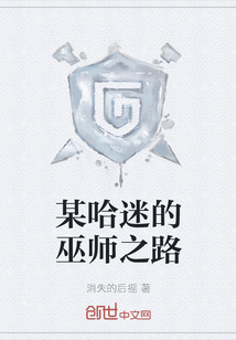 某哈迷的巫师之路