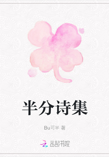半分詩集
