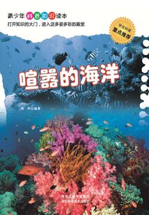 喧囂的海洋