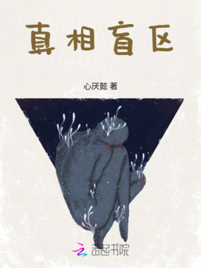 真相盲区在线阅读