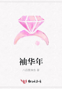 袖华年