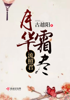月華霜盡流照君在線閱讀